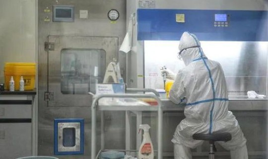 核酸检测收费，流感病毒核酸检测费用