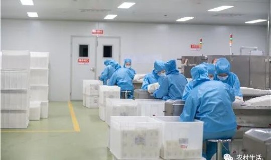 疫情春节会提前放假吗  春节期间疫情会严重吗