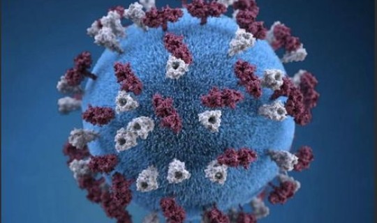 最新疫情最新消息病毒名称大全？近期病毒名称大全