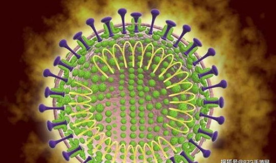 西安冠状病毒肺炎最新消息 新型冠状病毒传染途径 西安冠状病毒肺炎最新消息 新型冠状病毒传染途径