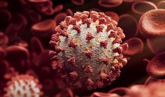 美国新冠病毒的最新情况(冠状病毒肺炎)