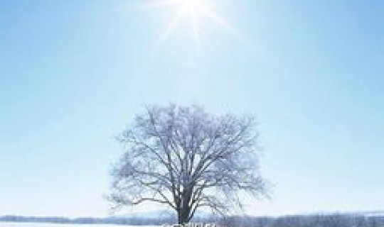 宁波最新消息今天气温多少度(宁波冬天最冷多少度)