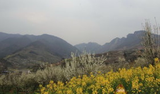 葛仙山旅游区开放了没有？葛仙山要门票吗