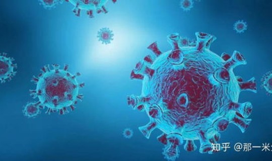 因新冠病毒而死的人有多少?得了新冠会死吗? 因新冠病毒而死的人有多少?得了新冠会死吗?