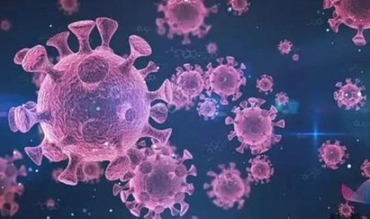 河南昨日新增新型冠状病毒多少例	，新冠病毒之后又出现了什么病毒