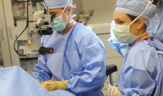 目前死于冠状病毒有多少人(冠状病毒有哪些)