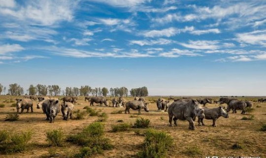 北京疫区有哪些地方封闭了，北京 鼠疫