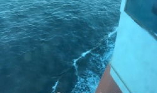 烟台到大连的船票价？烟台轮渡到大连轿车船票多少钱