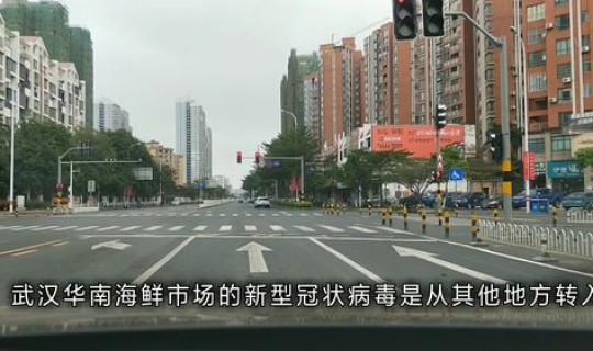 不是武汉，武汉属于华中还是华南