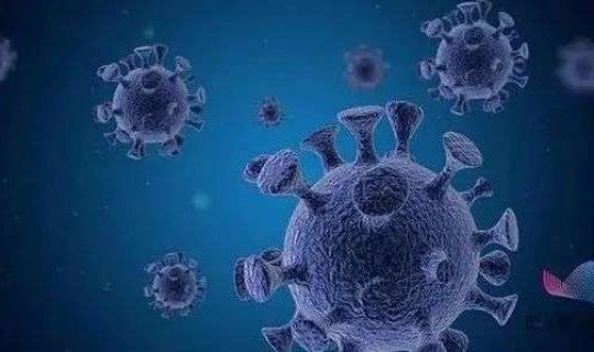 英国确认发现新冠病毒的新变种 英国发现的新冠病毒变种再次发生突变意味着什么