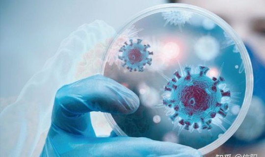 上海做核酸几点开始 上海24小时核酸检测机构