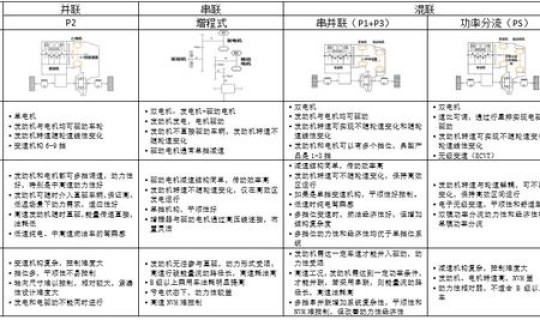 混合管型 颗粒管型名词解释