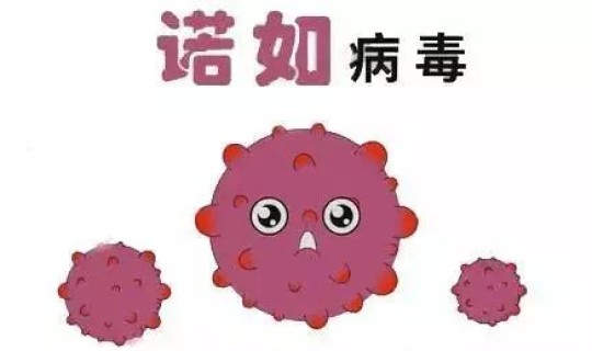 现在病毒变异情况 诺如病毒