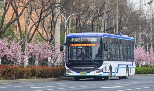 山东坐公交免费政策最新，济南公交免费政策