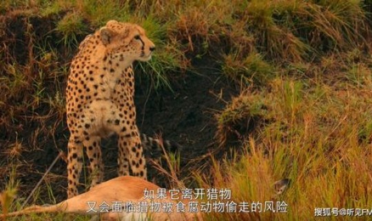 韩国新冠第一个感染者死亡 埃博拉病毒感染者