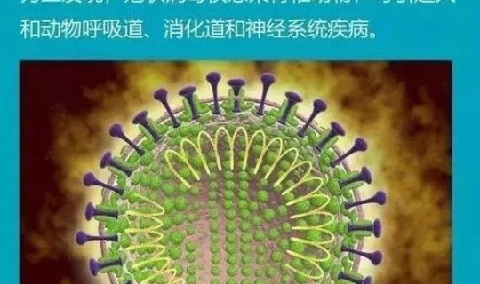 新冠病毒下半年会不会还有一波(新型冠状病毒传播途径)