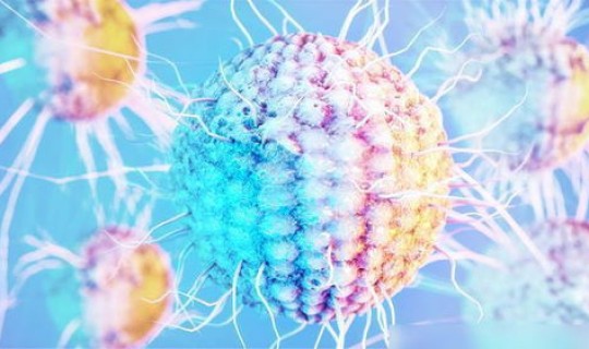 成都新发现新冠病毒了吗 现在有没有新冠病毒