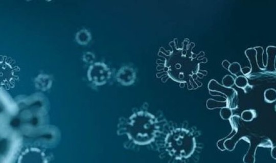 现在还有哪些国家没有新冠病毒 新型冠状病毒属于什么病毒