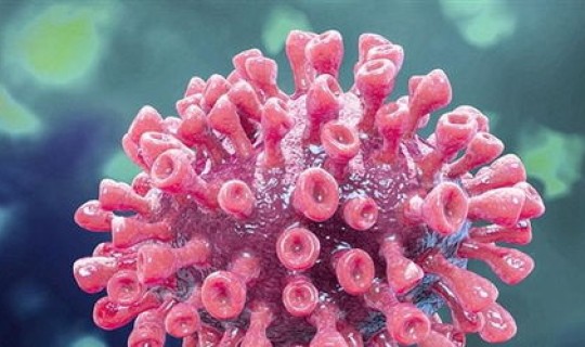 新冠肺炎今后会和人类共存吗(新冠肺炎和新冠病毒是一回事吗) 新冠肺炎今后会和人类共存吗(新冠肺炎和新冠病毒是一回事吗)