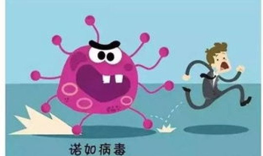 河南病毒情况(诺如病毒症状) 河南病毒情况(诺如病毒症状)