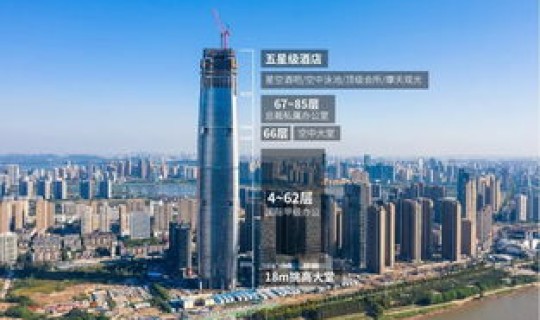 武昌是不是武汉市中心(武汉市中心是哪个区)