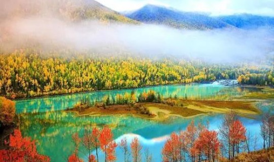 新疆新冠病毒最新，新疆最近有什么病毒性疾病