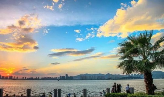 泉州滨海公园可以看日出吗(厦门海湾公园有什么好玩的)