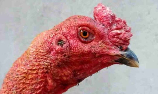 南京疫情几号爆出，南京传染病