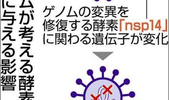 病毒变异了会怎样(病毒为什么会变异)