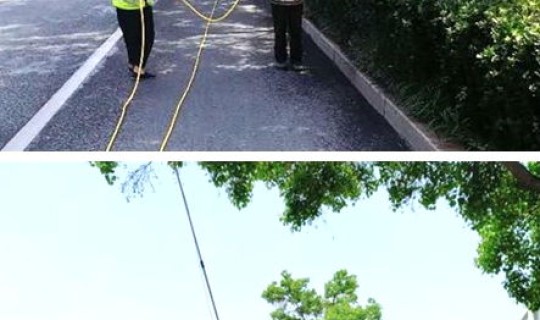 青岛市绿化养护规范？绿化一级养护标准