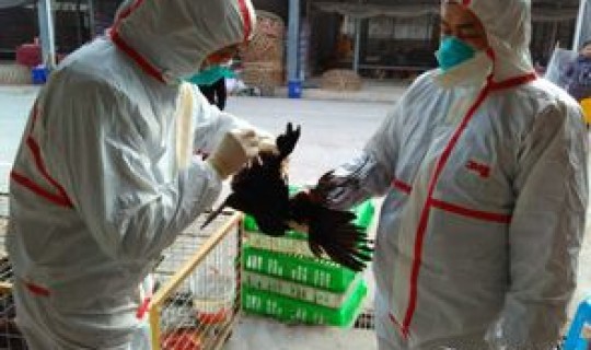 广州疫情死人了吗最新消息	，最近广州流感严重吗