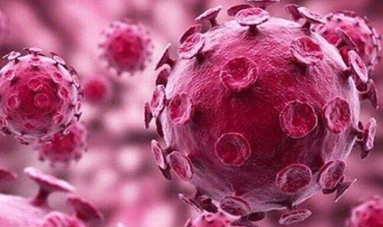 哈尔滨疑似阳性(哈尔滨最近流行病毒)