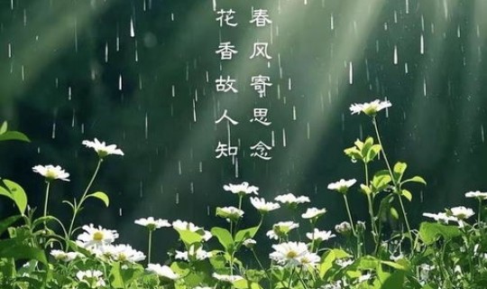 今年几月几号清明节 今年清明上坟最佳日期