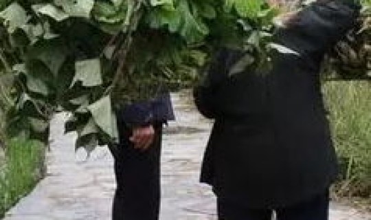 莆田外出三万人？莆田女人怎么样