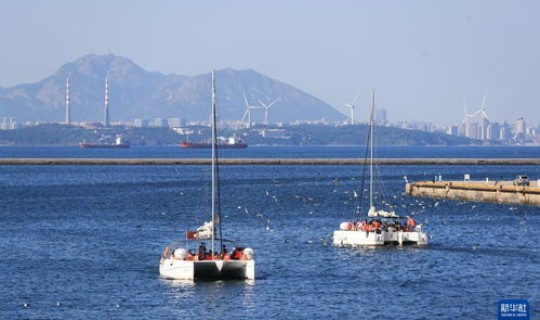 大连市到烟台市的轮渡多少钱？威海到大连威海到大连轮渡