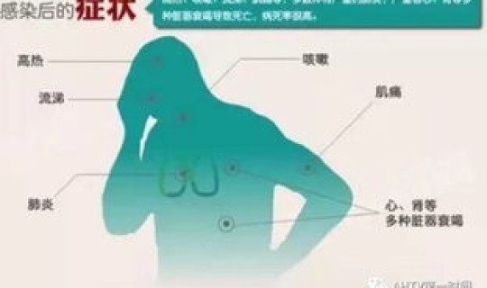 h7n9禽流感病毒在人与人之间？h7n9是什么病毒