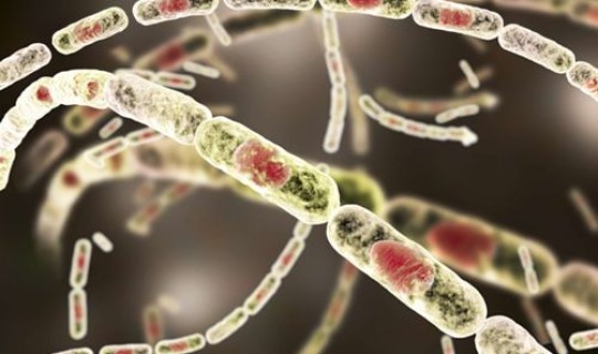 隐匿性病毒感染会传染吗(病毒感冒传染吗)