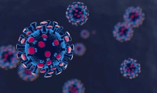 德尔塔病毒现感染人数(什么是病毒感染)