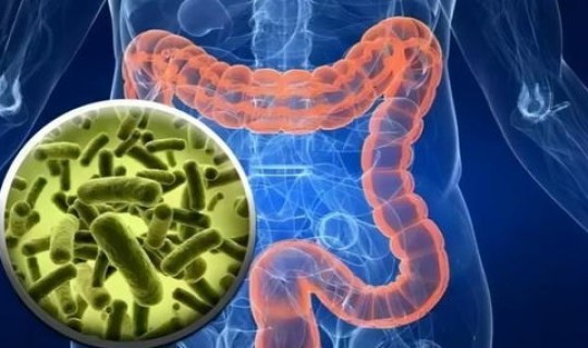 病毒多久会消失，甲流病毒多久会自愈