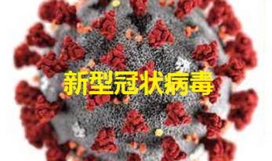 新冠病毒现在哪个城市最严重，现在有没有新冠病毒