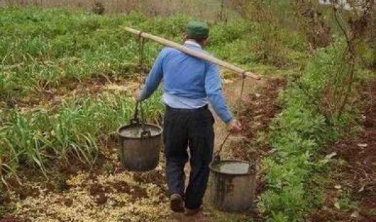 黑龙江又发现一例？黑龙江农村一人分多少地