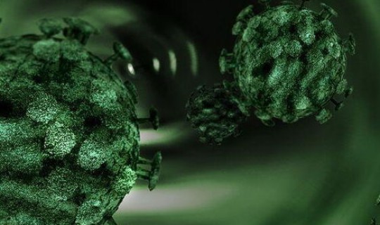 新冠病毒变异株命名规则，病毒命名的一般规则