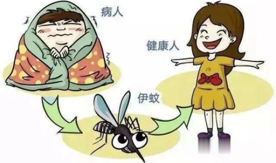 登革热广西最新疫情？我得了登革热三次