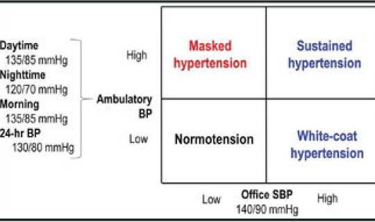 隐匿性传导名词解释 药物的半衰期名词解释