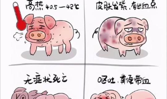 最新疫情最新症状，新的疫情是什么症状