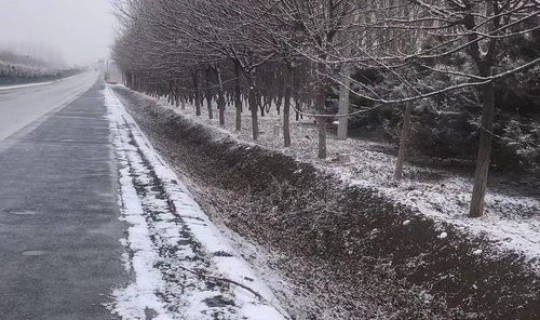 1月24日北京下雪了吗 北京昨天晚上下雪了吗