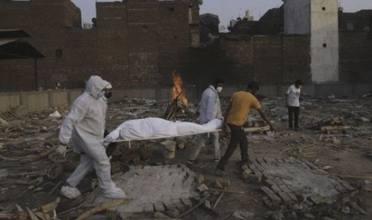 美国新冠病毒死亡人数(中国死于新冠的有多少人)