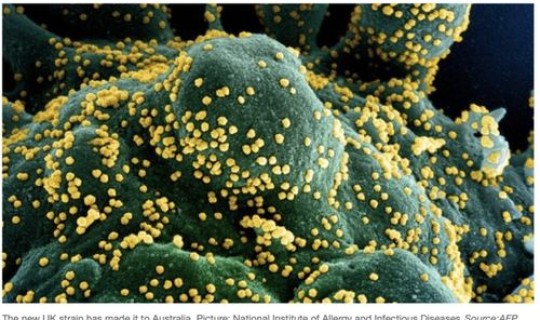 英国新冠病毒变异致死率90 英国新冠病毒变异叫什么