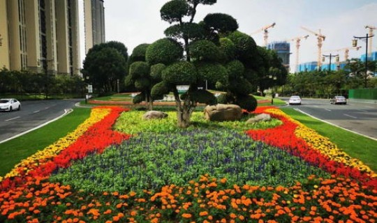 无锡发现新冠肺炎了吗？无锡发现一例新冠