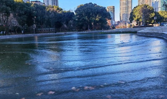 上海1月6号公园天气 上海25号天气